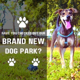 Our new dog park is fully equipped with agility equipment for every pup to enjoy! Our new dog park is fully equipped with agility equipment for every pup to enjoy!