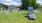 a grassy field with dog playground